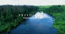 Film "Przedziwna Puszcza Białowieska"