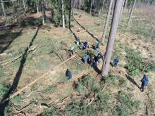 Zbiorem szyszek rozpoczęliśmy drugą edycję projektu „Od nasionka do drzewa”