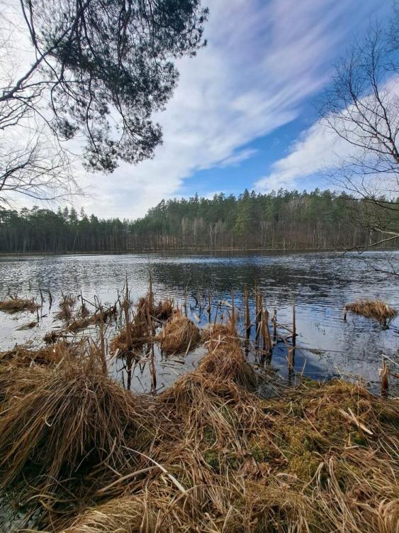 Fot. Rafał Ptaszkiewicz